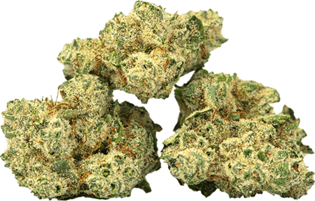 Burmese Kush