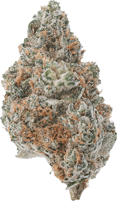 Mint Shake image 1