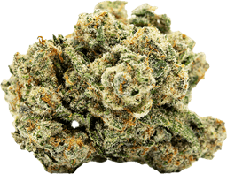 Gator Breath